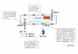 WayOS用户如何利用端口镜像实现数据监管?