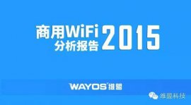 商用WiFi：风口上“会飞的那头猪”