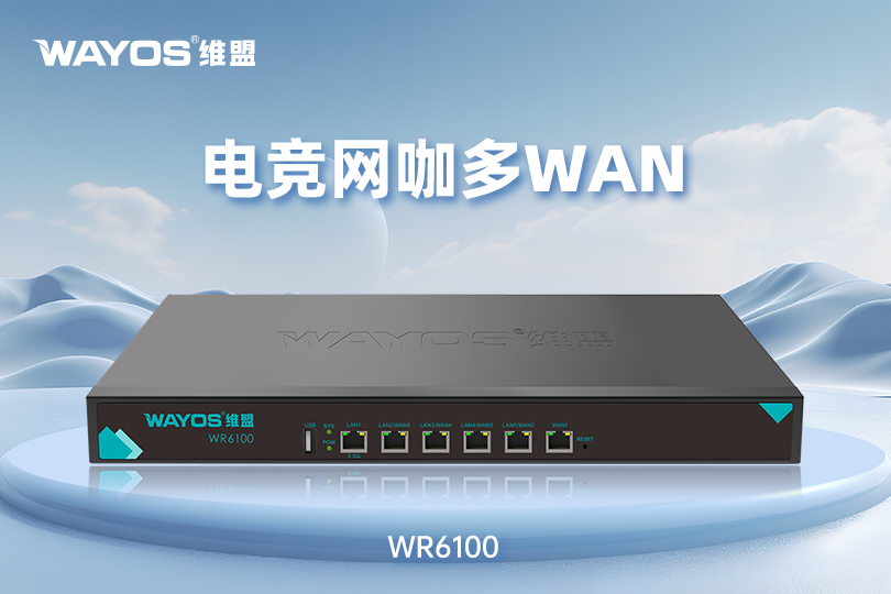 WR6100电竞网咖多WAN智能路由器