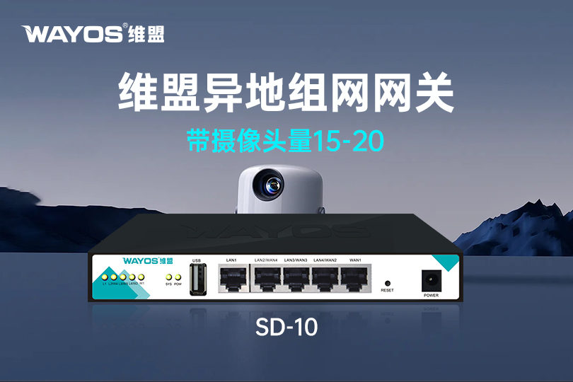 SD-10维盟异地组网网关