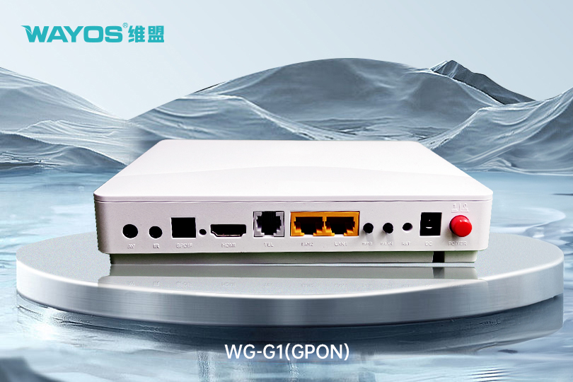 WG-G1(GPON)