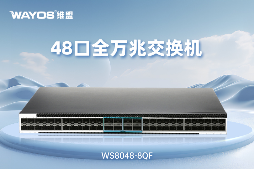 WS8048-8QF  48口全万兆交换机